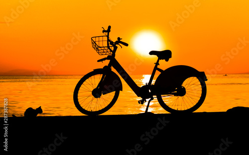 silhouette of bike and a little cat on sunset