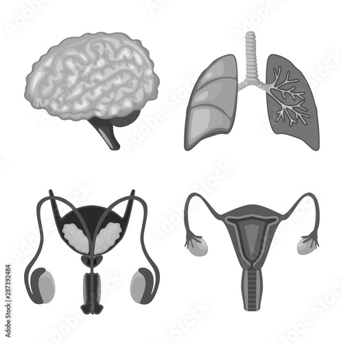 Isolated object of internal and medical symbol. Collection of internal and health stock vector illustration.