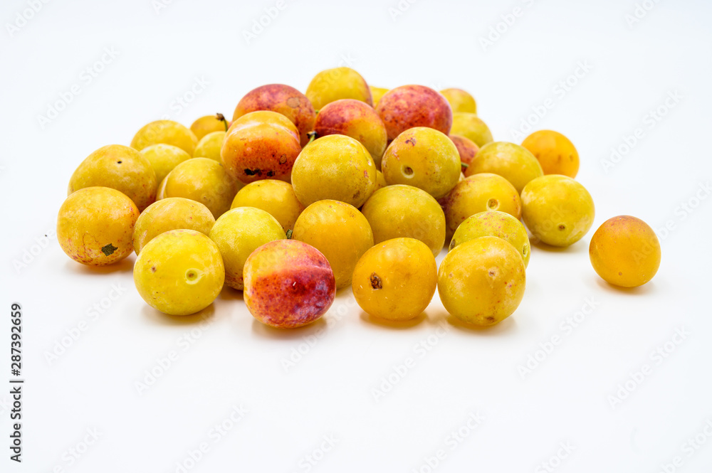 Tas de mirabelles Tas de mirabelles