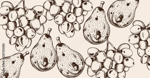 Pear and grapes Vector line art. Autumn fall harvest pattern decors