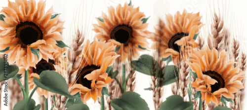 Sunflower watercolor background Vector. Vintage rustic style floral decors