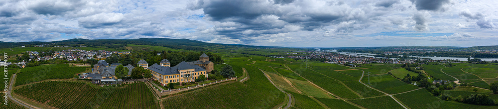 Panoramaluftaufnahme der Weinberge von Johannisberg/Deutschland nebst Schloss