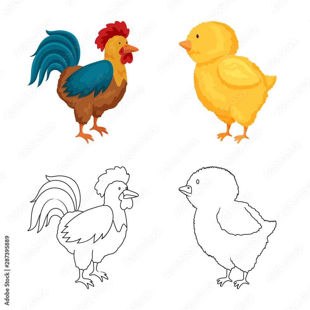 Fototapeta premium Isolated object of breeding and kitchen symbol. Set of breeding and organic vector icon for stock.