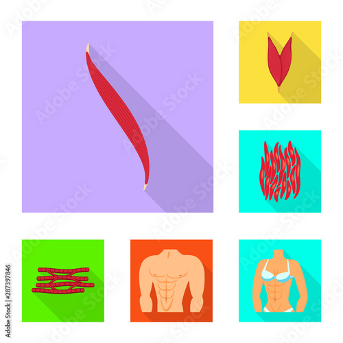 Isolated object of muscle and cells symbol. Set of muscle and anatomy vector icon for stock.