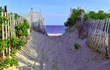 Beach scene with sand dunes and fencing by ocean
