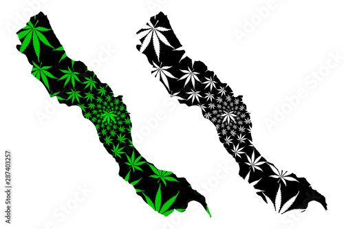 Sohag Governorate (Governorates of Egypt, Arab Republic of Egypt) map is designed cannabis leaf green and black, Girga map made of marijuana (marihuana,THC) foliage,....