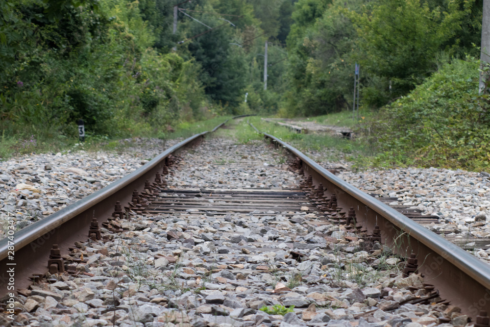Fototapeta premium railway in the forest old rails and sleepers
