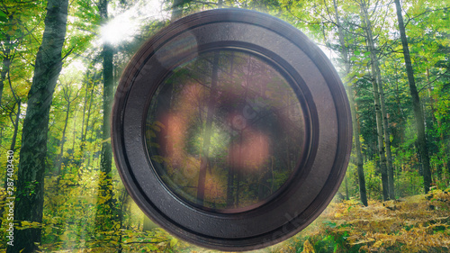 lens on autumn forest background