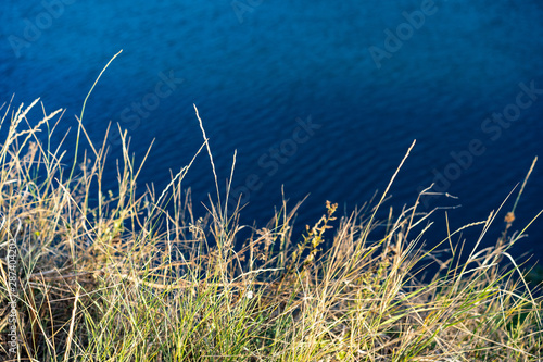 Grass by the ocean during the day photo