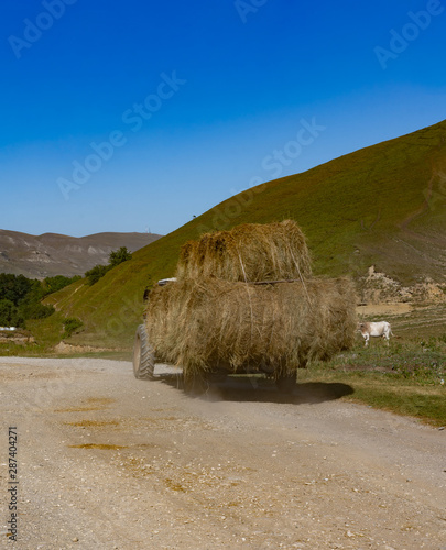 Transportation of hay by cars photo