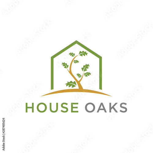 Modern Oak Tree and Leaf Logo Template