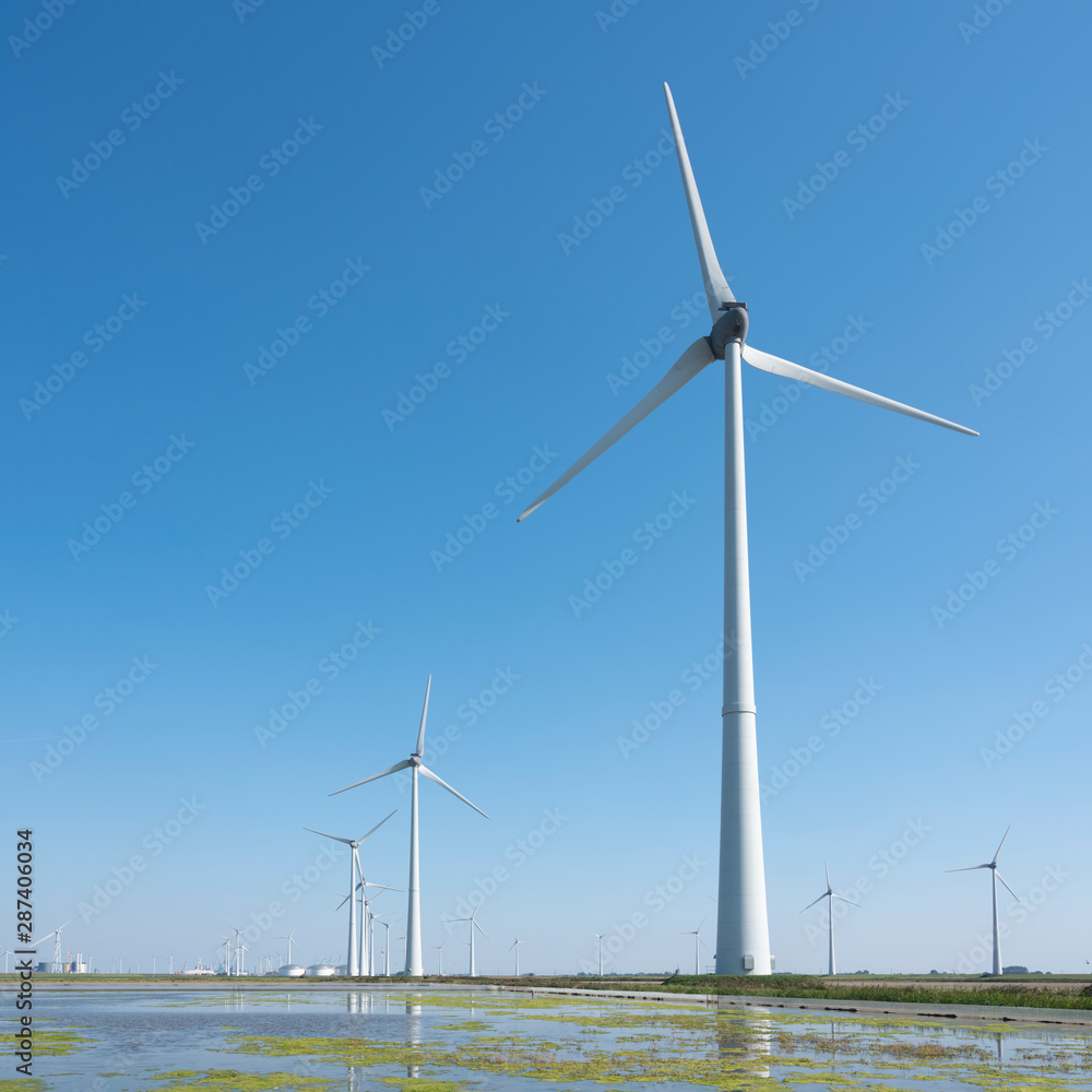 wind turbines and blue sky in the north of dutch province groningen near eemshaven