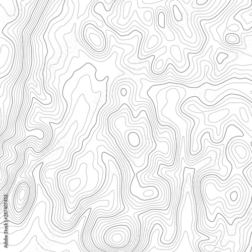 Topographic Map Seamless Pattern. Vector Background