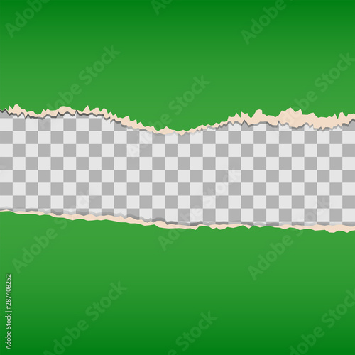 Decorative green torn paper