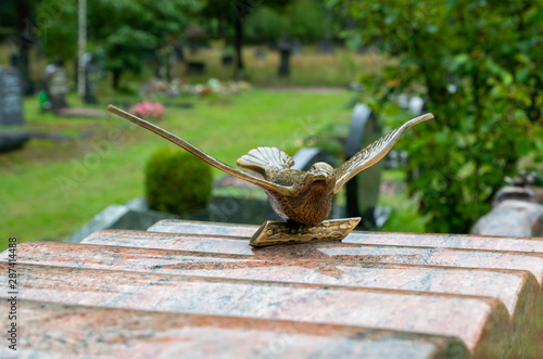 Eine Taube mit ausgebreiteten Flügeln photo