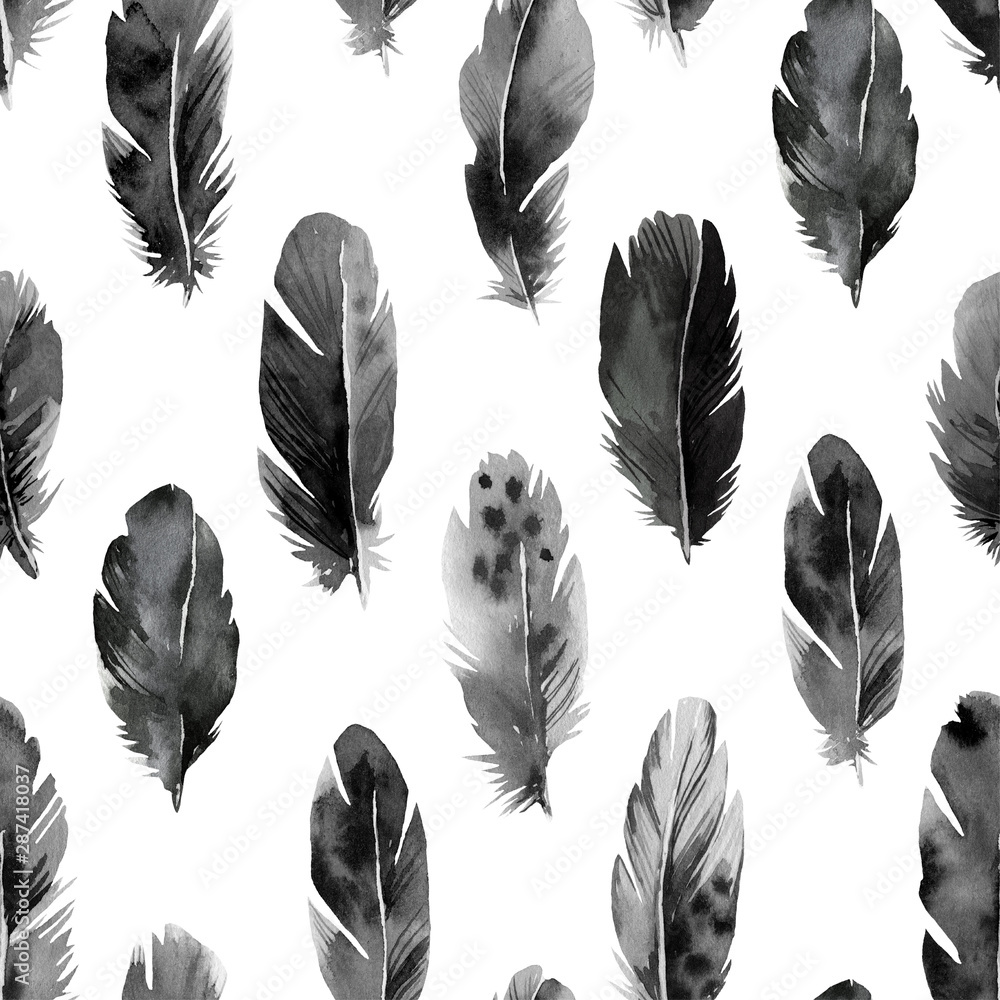 Obraz czarno-białe różne pióra, wzór, monochromatyczna ilustracja akwarela