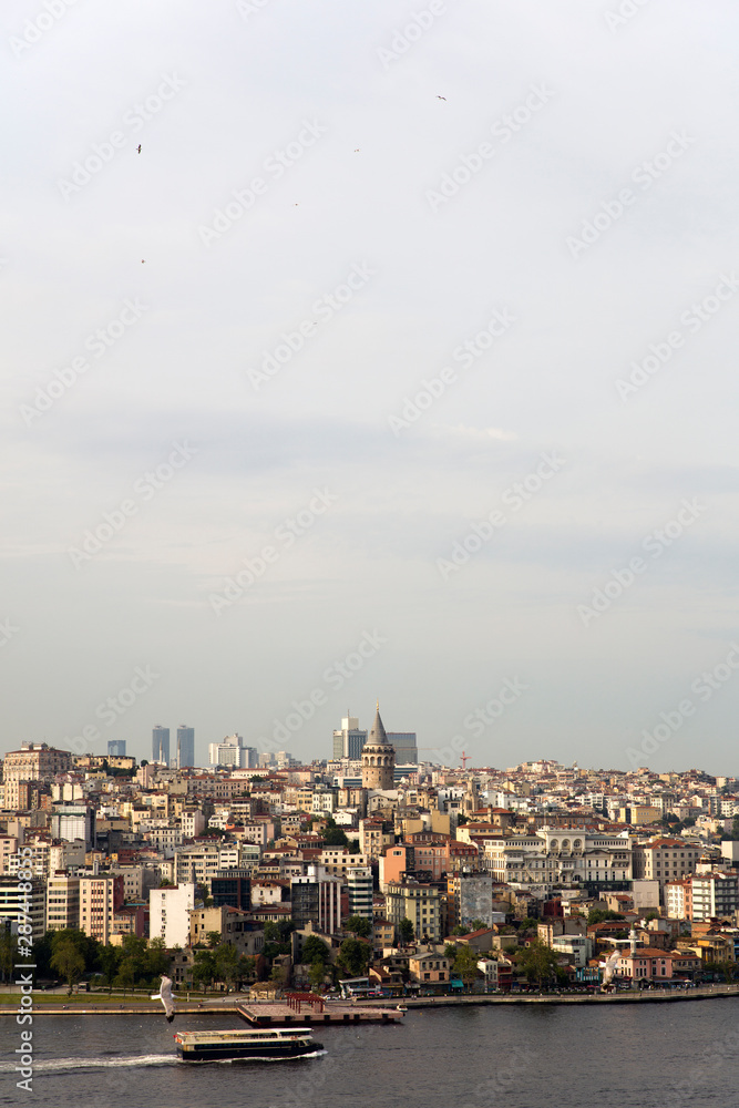 Obraz premium Houses and public buildings densely cover an area of Istanbul, Turkey