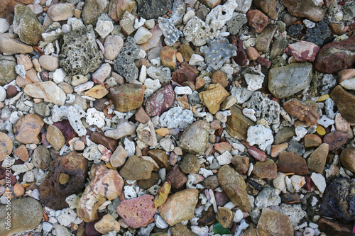 Rocks, sea and shells, background images