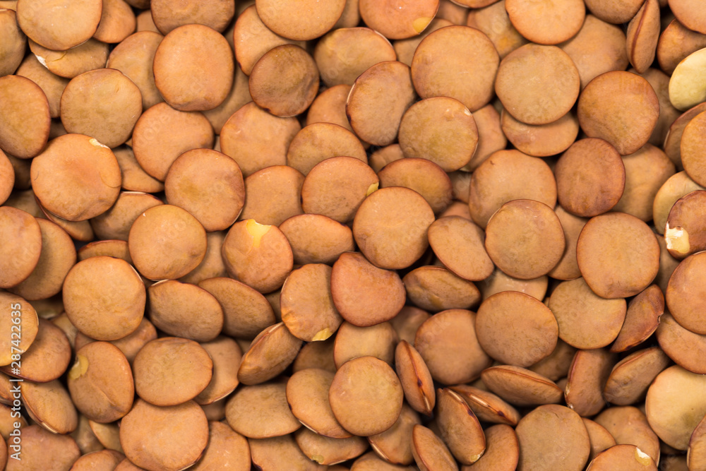 Lentils. Lentils background. Green lentils pattern. Natural organic lentils for healthy food Lentils. Lentils background. Green lentils pattern. Natural organic lentils for healthy food
