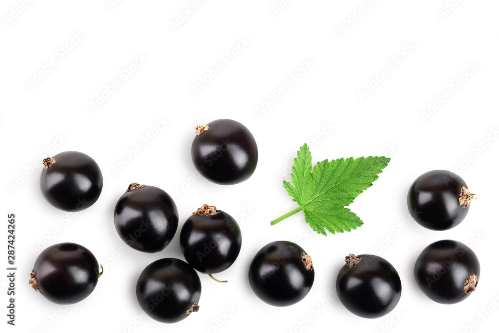 black currant with leaf isolated on white background. Top view. Flat lay pattern. With space for your text black currant with leaf isolated on white background. Top view. Flat lay pattern. With space for your text