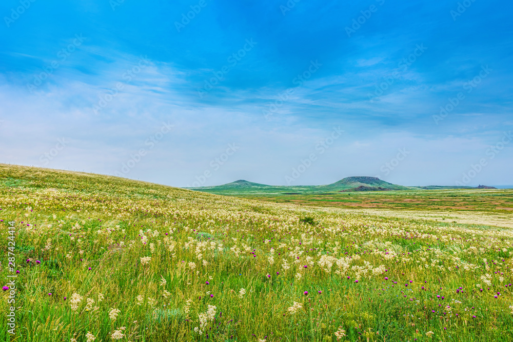 Crimea steppe- landscape park. Kerch peninsula