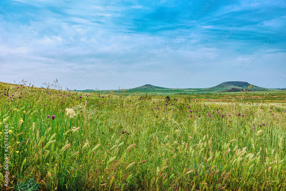 Crimea steppe- landscape park. Kerch peninsula Crimea steppe- landscape park. Kerch peninsula