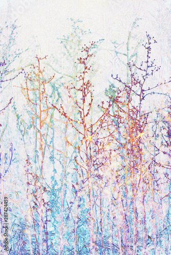 colorful meadow plants in pastel colors.