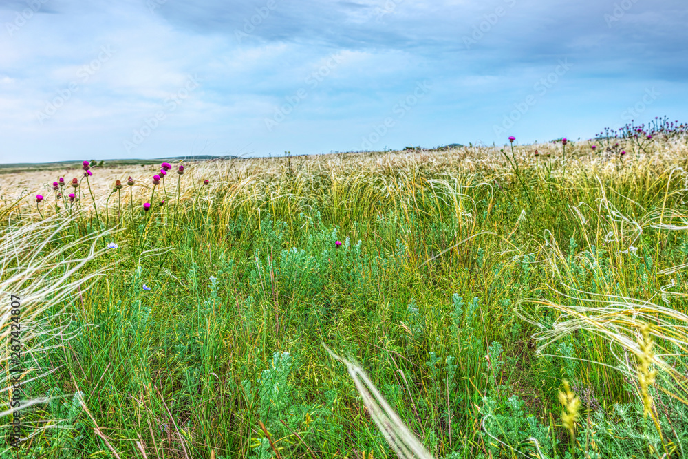 Fototapeta premium Crimea steppe- landscape park. Kerch peninsula