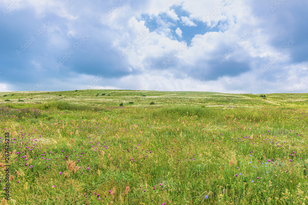 Fototapeta premium Crimea steppe- landscape park. Kerch peninsula