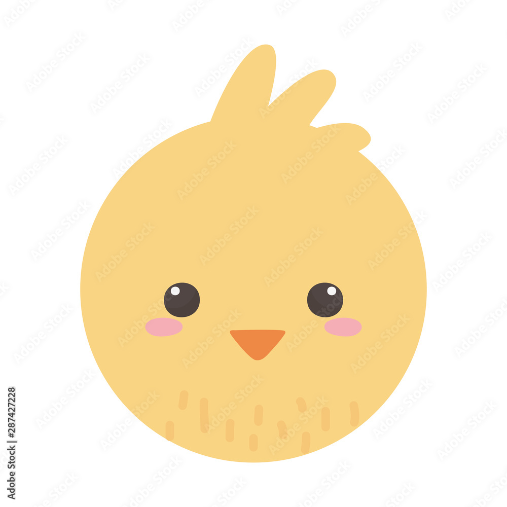 Chicken cartoon vector design vector illustration Chicken cartoon vector design vector illustration