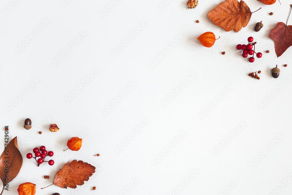 Fototapeta Jesienna kompozycja. Suszone liście, kwiaty, jagody jarzębiny na białym tle. Jesień, jesień, koncepcja Święto Dziękczynienia. Leżał płasko, widok z góry, miejsce