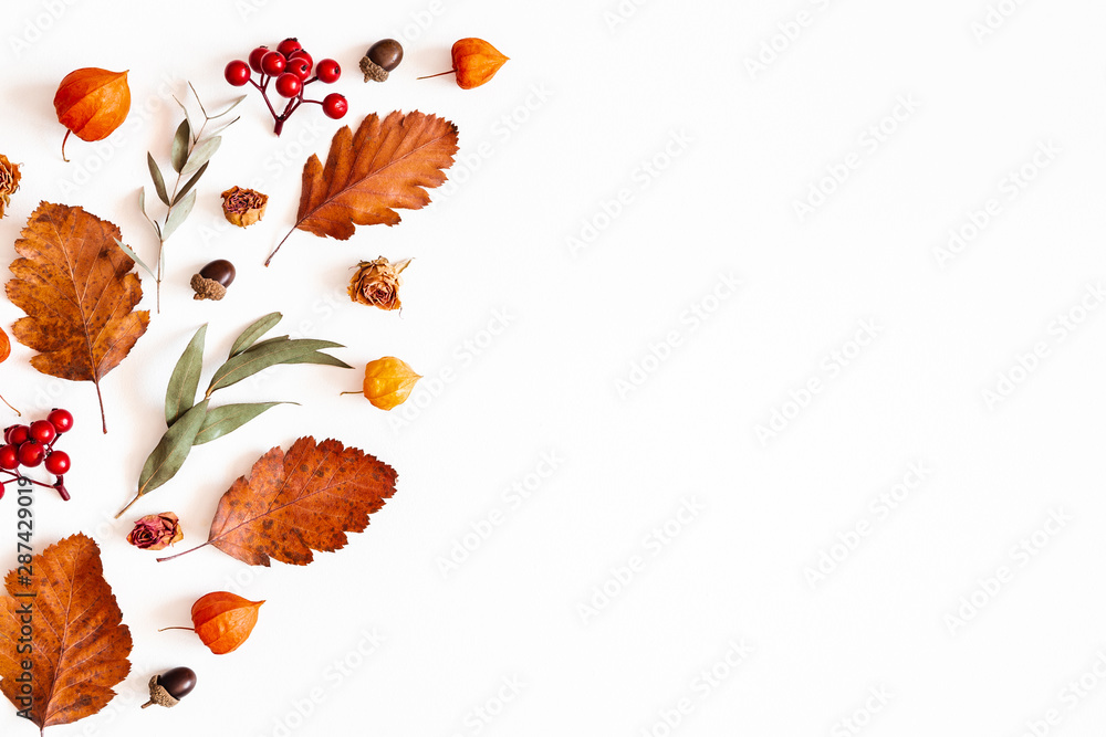 Autumn composition. Physalis flowers, eucalyptus leaves, rowan berries on white background. Autumn, fall, thanksgiving day concept. Flat lay, top view, copy space - obrazy, fototapety, plakaty 