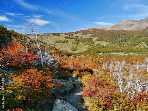 Autumn in the Patagonia, Argentina