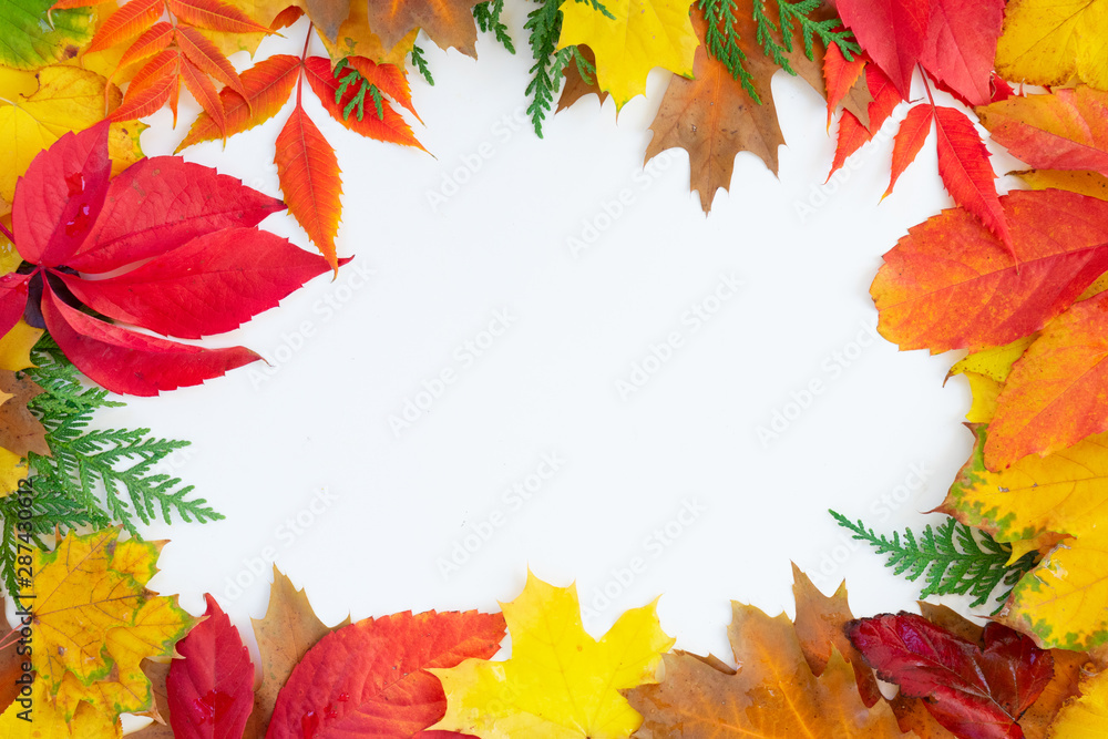 Natural fall leaves background