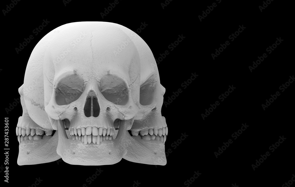 3d rendering. A several direction faces of Halloween human head skull bone isolated on black background. 3d rendering. A several direction faces of Halloween human head skull bone isolated on black background.