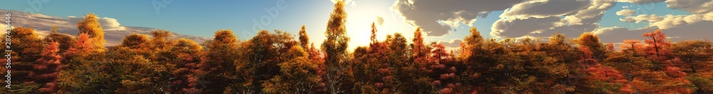 Panorama of the autumn landscape. Autumn park at sunset. Autumn trees under a blue sky with clouds. Banner.