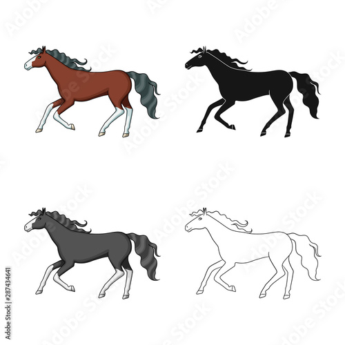 Vector illustration of steed and brown sign. Set of steed and gallop vector icon for stock.