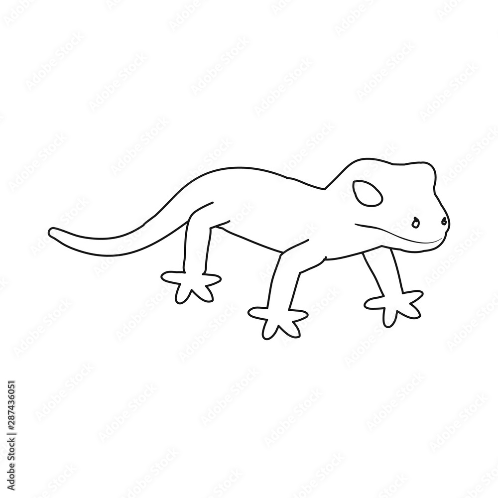 Vector illustration of lizard and green icon. Set of lizard and coloring stock symbol for web.