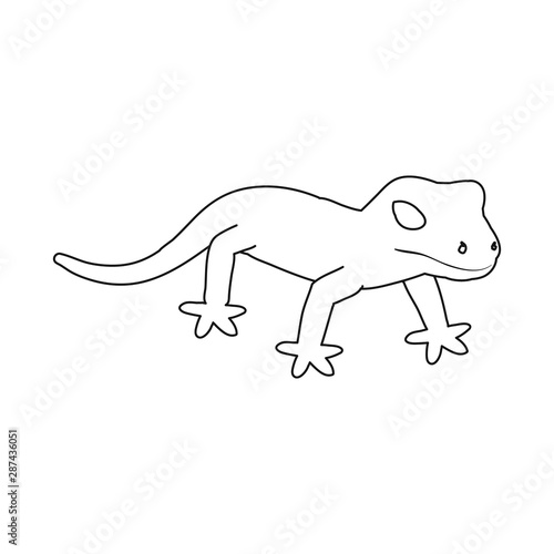 Vector illustration of lizard and green icon. Set of lizard and coloring stock symbol for web.