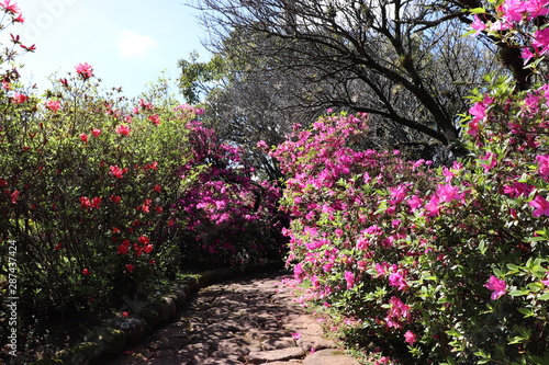 The beautiful landscaping found at Square Província de Shiga in Porto Alegre, Brazil.