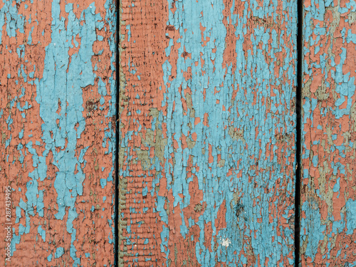 Color-Peel wood texture. Old wooden painted light blue rustic fence, paint peeling background