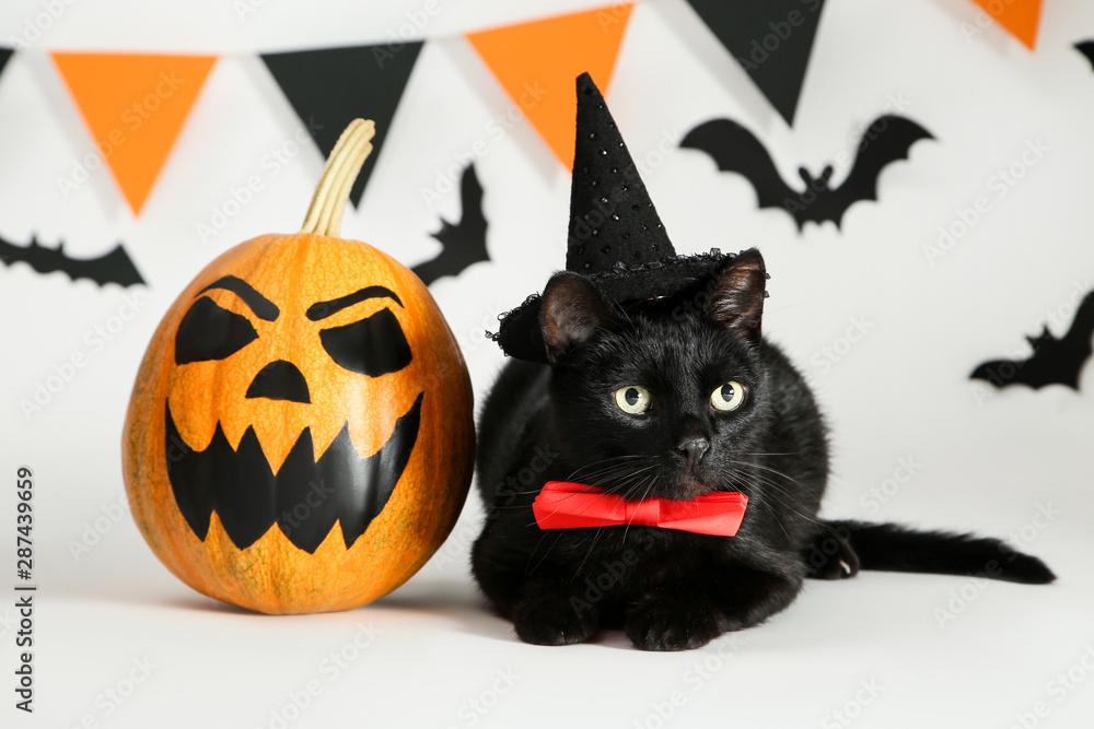 Black cat in hat with pumpkin, paper bats and flags on white background