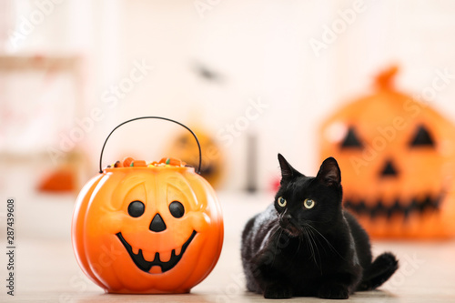 Canvas Print Black cat with candies in halloween bucket