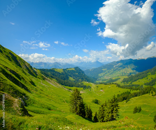 Summer time mountain panoramic landscape in Switzerland © Anton Gvozdikov