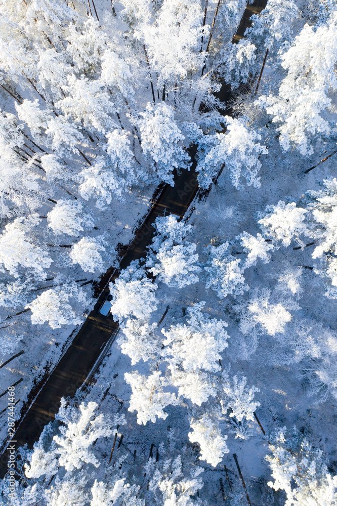 Fototapeta premium Road in winter forest