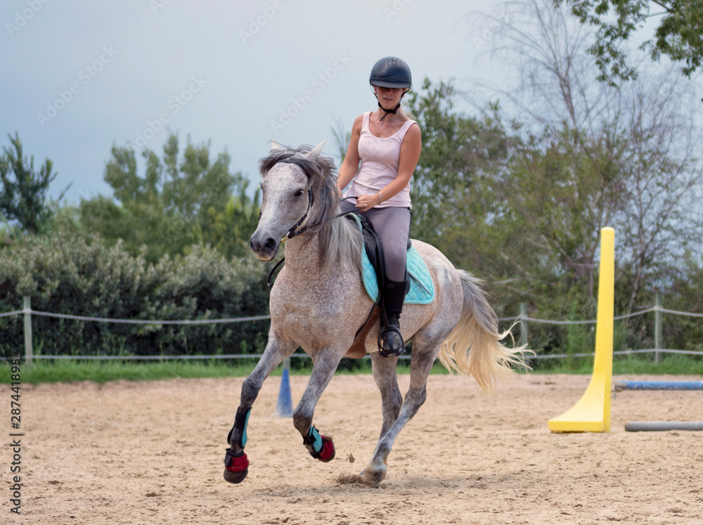 riding girl and horse riding girl and horse