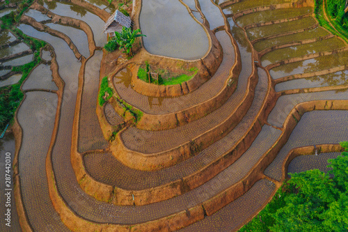 Aerial view of beautiful and freshly planted rice terraces in rainy season.
