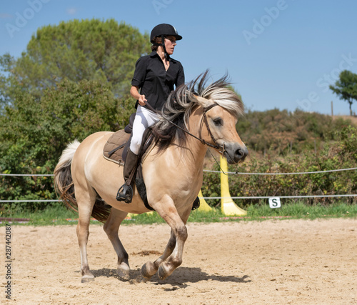 Fototapeta Naklejka Na Ścianę i Meble -  riding girl and horse