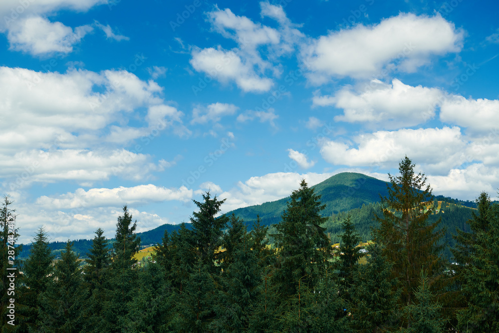 Beautiful summer landscape - spruces on hills, cloudy sky at bright sunny day. Carpathian mountains. Ukraine. Europe. Travel background.