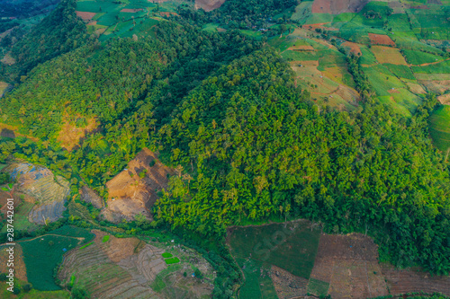 Aerial view of agriculture lands in Doi Inthanon national park  Thailand. 
